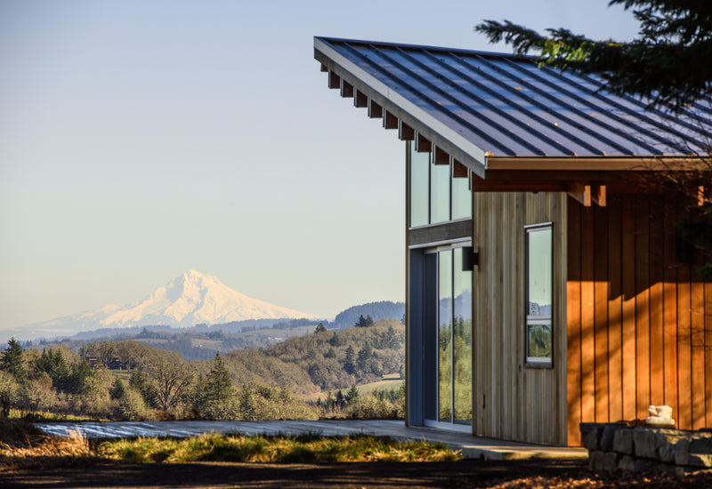 The Quiet Regenerative Revolution at The Ground