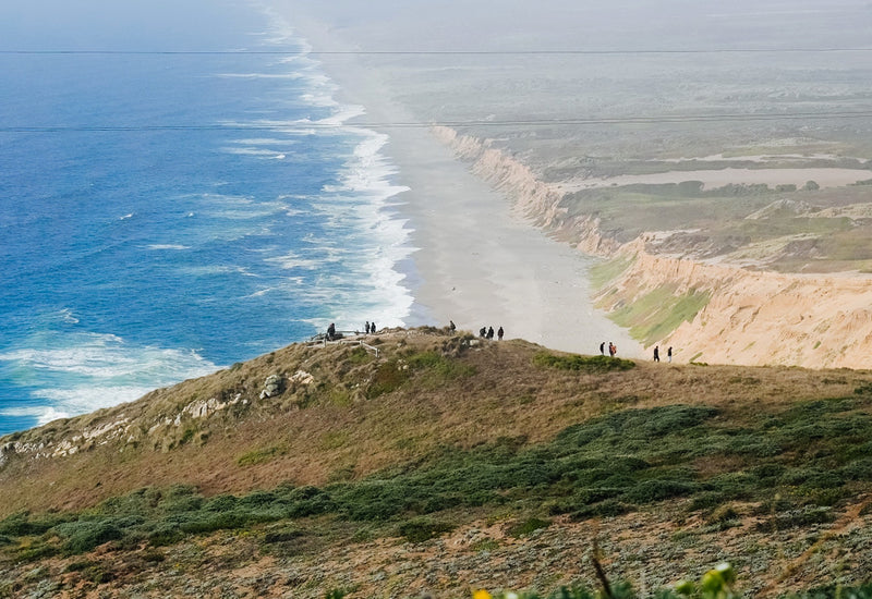 Finding What’s Way Out There