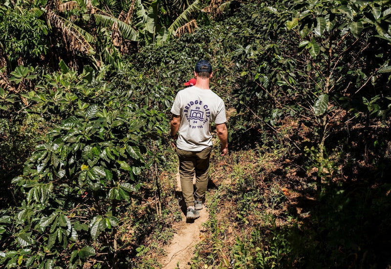 Rising together: Bridge City Coffee’s dedication to people
