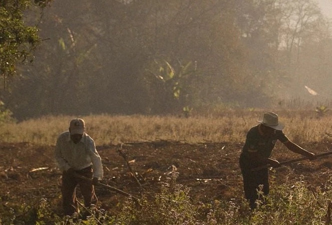 Building a Better Future with BUNA