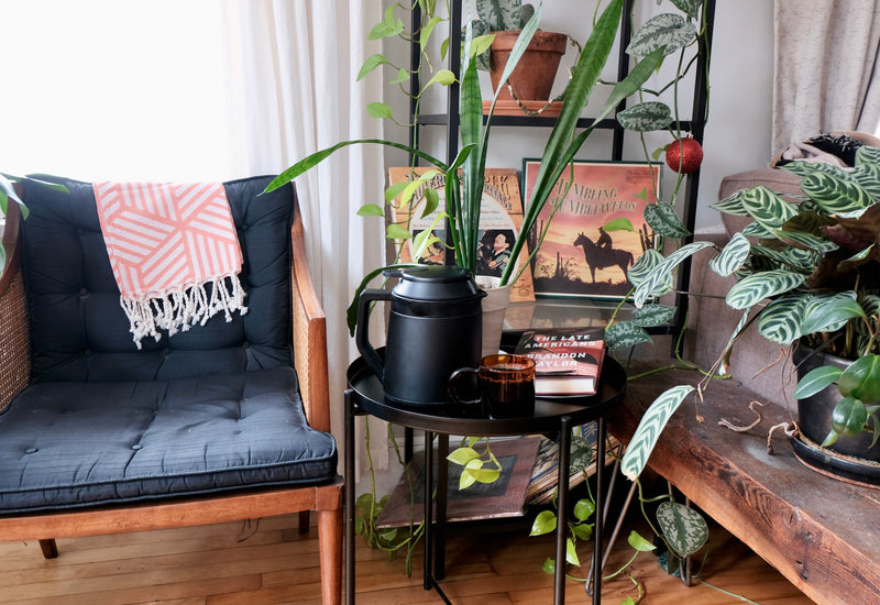 Creating a Career in Coffee with Jesse Raub