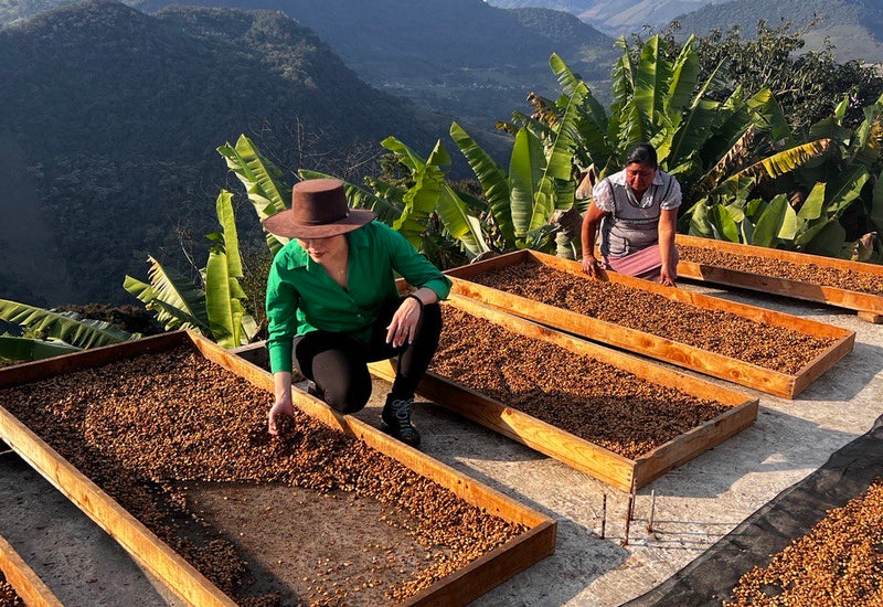 ‘If it’s not now, it’s gonna be never’