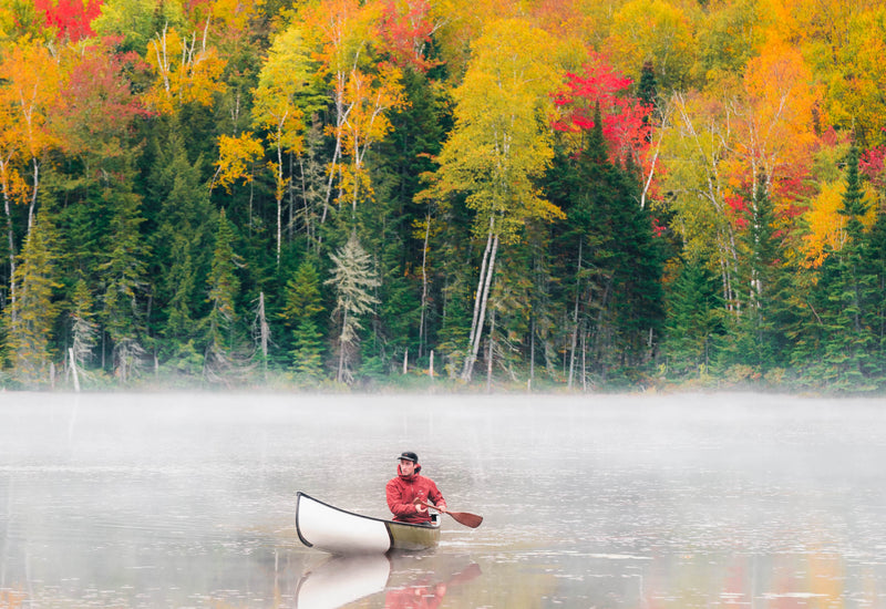 On the Road with The Rolling Van Creative