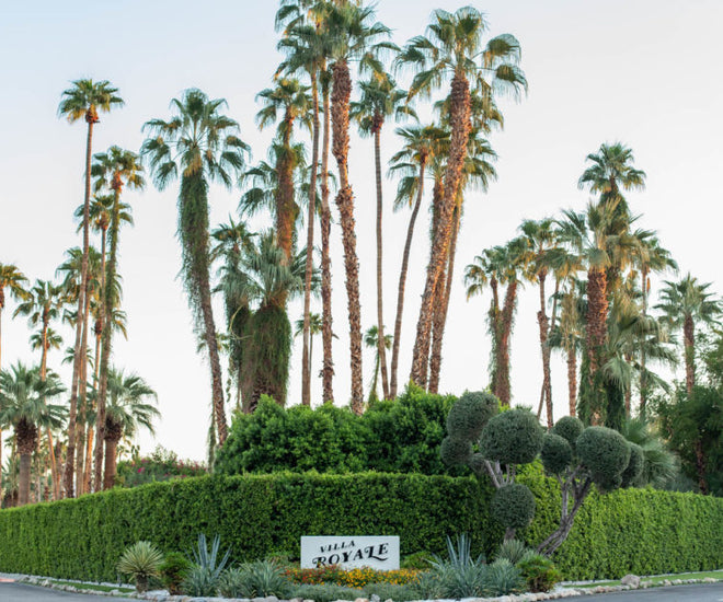 Villa Royale x Ratio x Good Coffee