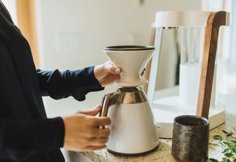 The Wrong Filter Type Can Flatten an Otherwise Perfect Brew