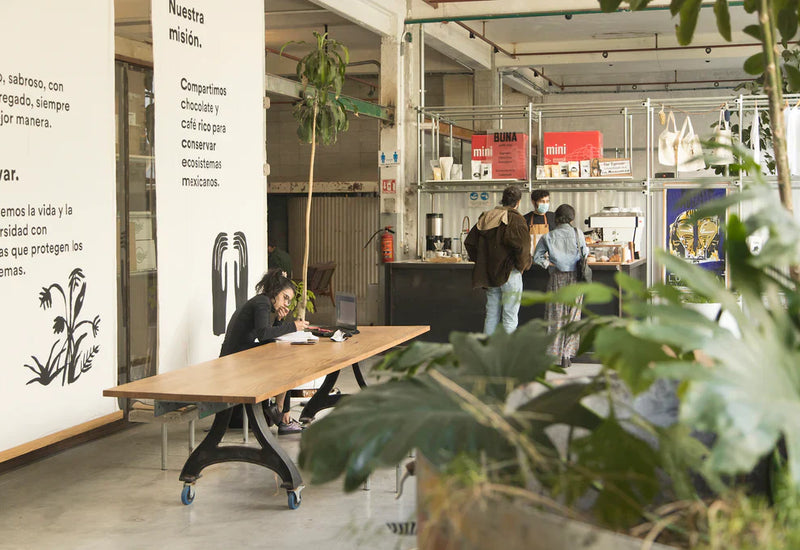 Cafe Interior Design Ideas for 2025