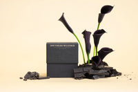 Onyx Coffee Lab - Southern Weather