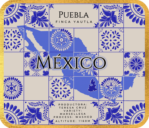 Café Metzli - Finca Yautla - Puebla, México (Medium Roast)